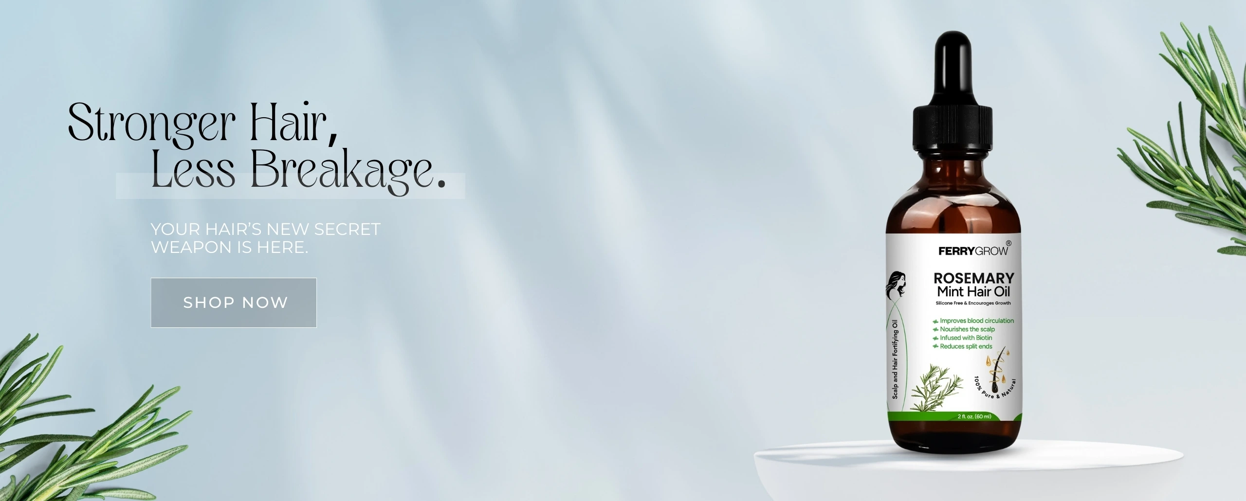 banner-2
